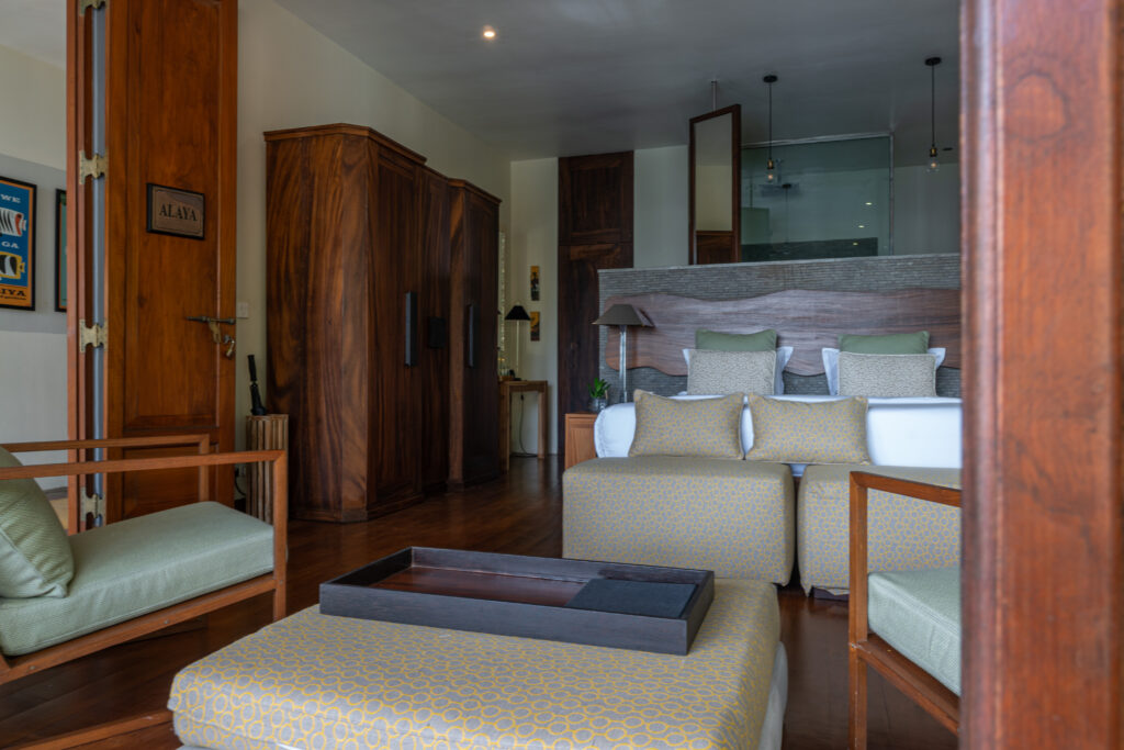 Alaya Room1