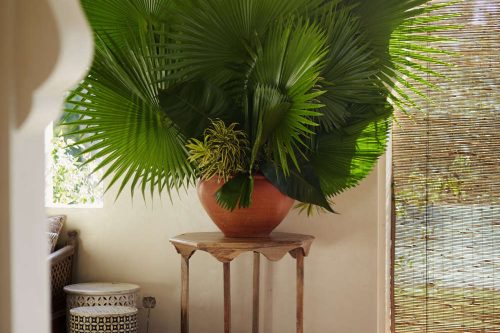 Malabar Hill Style